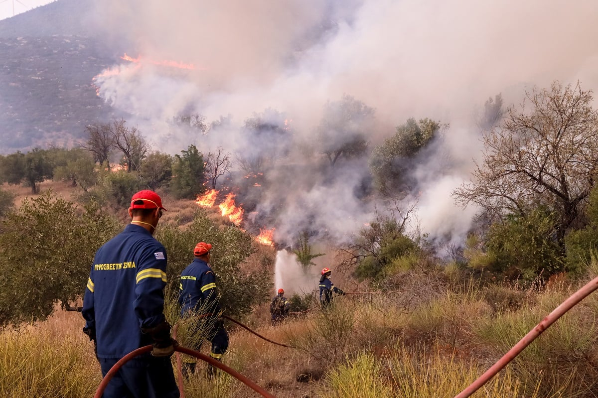 Φωτιά τώρα στη Μεσσηνία – Σηκώθηκαν δύο αεροσκάφη