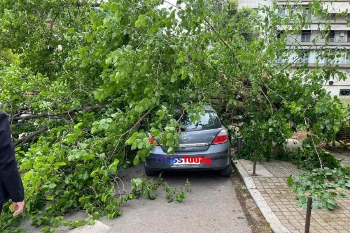 Θεσσαλονίκη: Υλικές ζημιές σε ΙΧ από πτώση δέντρου (εικόνες)