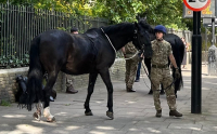 Αναστάτωση στο Λονδίνο: Άλογα του στρατού ξέφυγαν και έτρεχαν στους δρόμους (βίντεο)