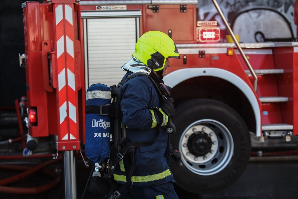 Στη φυλακή άνδρας για φωτιά σε αλσύλλιο της Αθήνας - Χωρίς αναστολή η ποινή του