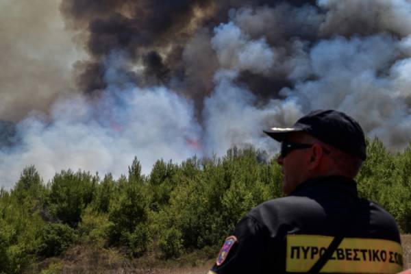 Φωτιά στην Τσαριτσάνη Ελασσόνας - Μεγάλη κινητοποίηση της Πυροσβεστικής