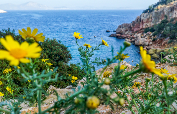 Τι είναι ο «υποτροπικός αεροχείμαρρος» που φέρνει 35άρια στην Ελλάδα