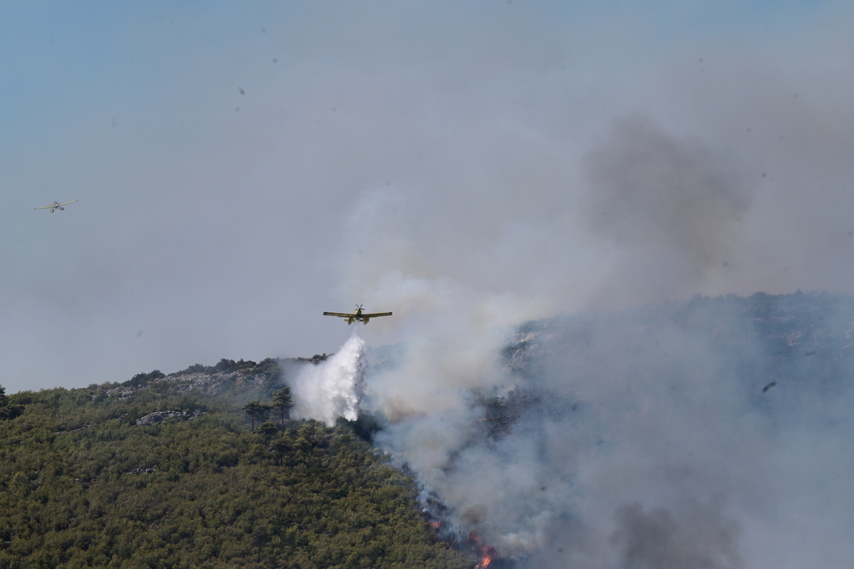 Φωτιά στην Αττική: Βοήθεια από την Ευρώπη ζητάει η Ελλάδα - Στέλνουν ενισχύσεις Γαλλία, Ιταλία και Τσεχία