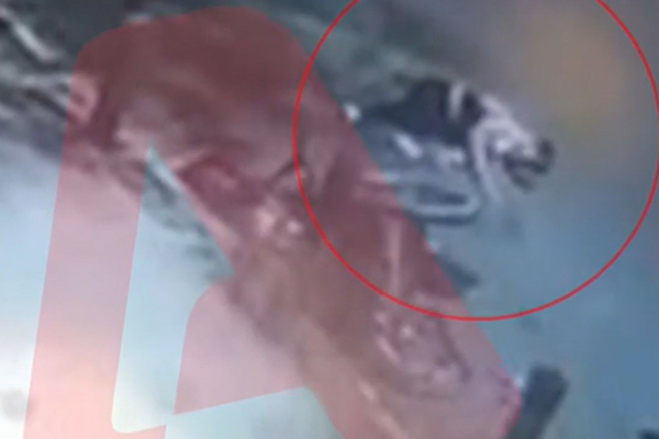 Σοκαριστικό βίντεο από την παράσυρση της Ειρήνης Κουρούβανη στην Πατησίων - Ο οδηγός έγινε... καπνός