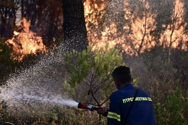 Δάσκαλε που δίδασκες... Καθηγητής σε σχολές της ΕΛΑΣ συνελήφθη για εμπρησμούς στη Βάρη