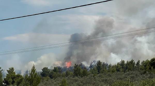 Φωτιά στο Θεολόγο: «Έσπασε» στα δύο το μέτωπο - Καίει παρθένο δάσος