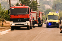 Ηλεία: Πυροσβέστες εντόπισαν ανθρώπινα οστά σε φωτιά στην Αμαλιάδα