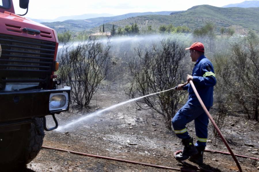 Ζάκυνθος: Υπό μερικό έλεγχο η φωτιά στο Καλαμάκι