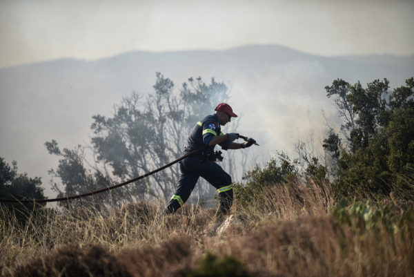 Φωτιά σε δασική έκταση στην Αμοργό - Ακτοπλοϊκή μετάβαση πυροσβεστών