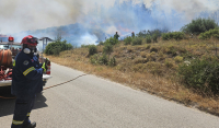 Φωτιά στο Μαρκόπουλο - Έκαιγε κοντά στην Αττική Οδό