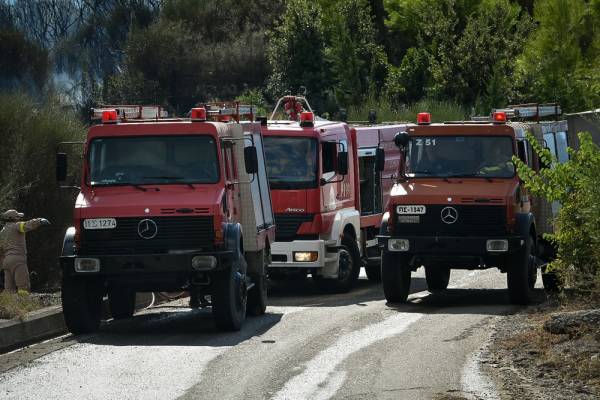 Φωτιά στη Φιγαλεία Ηλείας - Θρίλερ με νεκρό άνδρα κοντά στο πύρινο μέτωπο