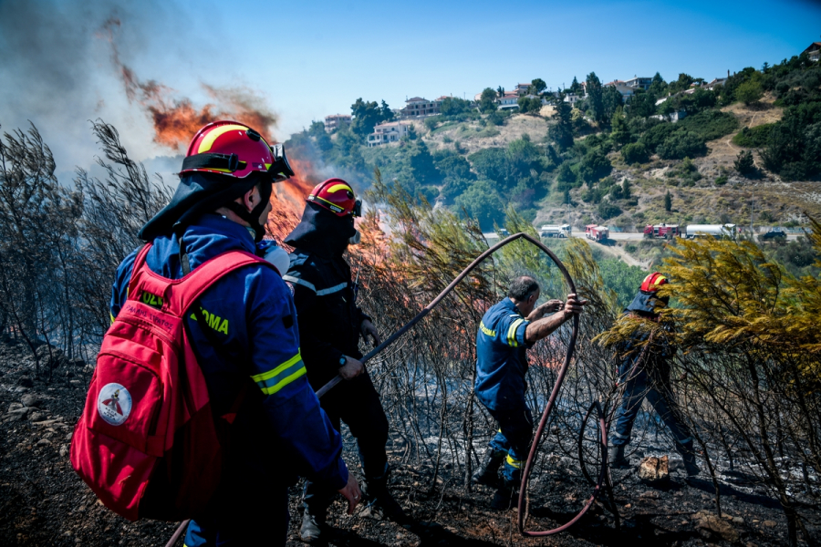 Αυξημένη 300% η καμένη έκταση φέτος στην Ελλάδα