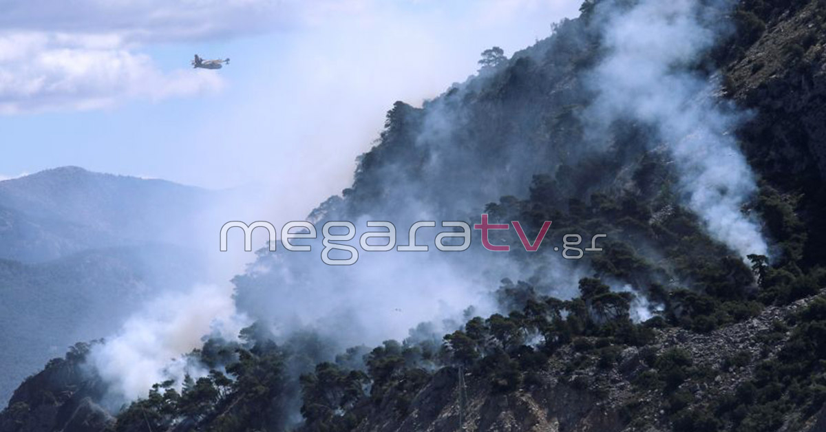 Φωτιά στα Μέγαρα - Μήνυμα 112 για εκκένωση περιοχής