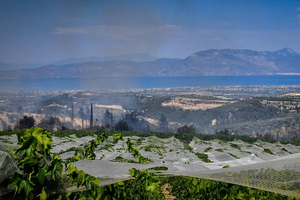 Φωτιά στην Κορινθία: Καίνε μικρές εστίες σε χαράδρα - Κίνδυνος πυρκαγιάς σήμερα σε Έβρο και Ροδόπη