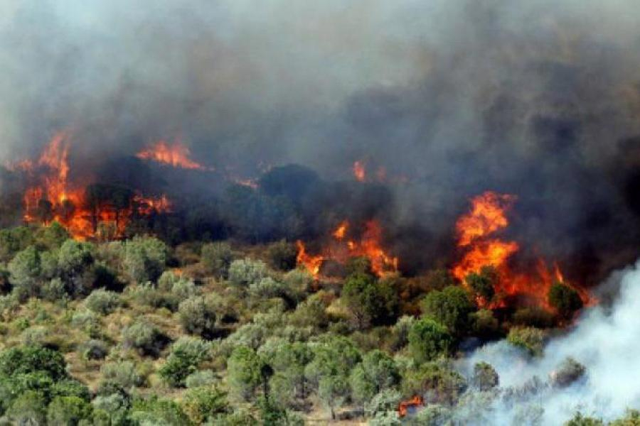 Φωτιά στη Θάσο: Ποινική δίωξη σε βαθμό κακουργήματος στον 65χρονο