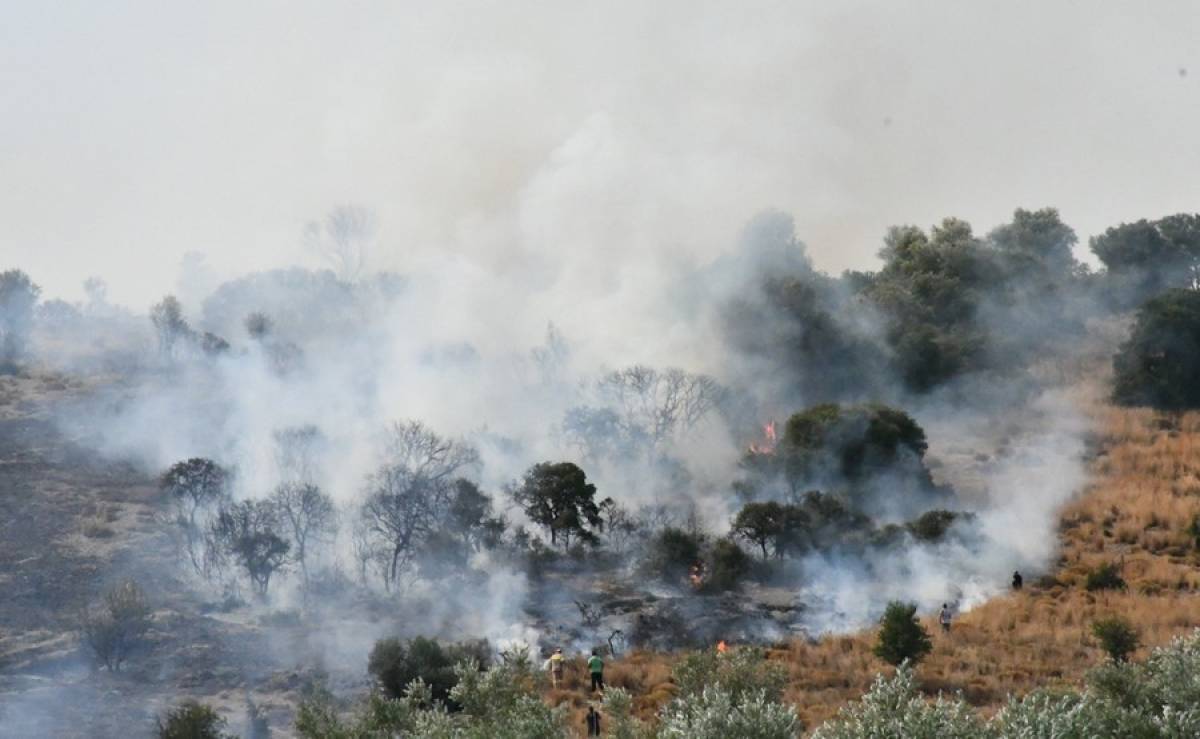 Κατάσταση συναγερμού σε όλη τη χώρα για πυρκαγιές