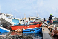 Ο τυφώνας Μπέριλ ισοπέδωσε ολόκληρο νησί στην Καραϊβική - Σχεδόν όλοι άστεγοι, δεν υπάρχει τροφή (εικόνες)