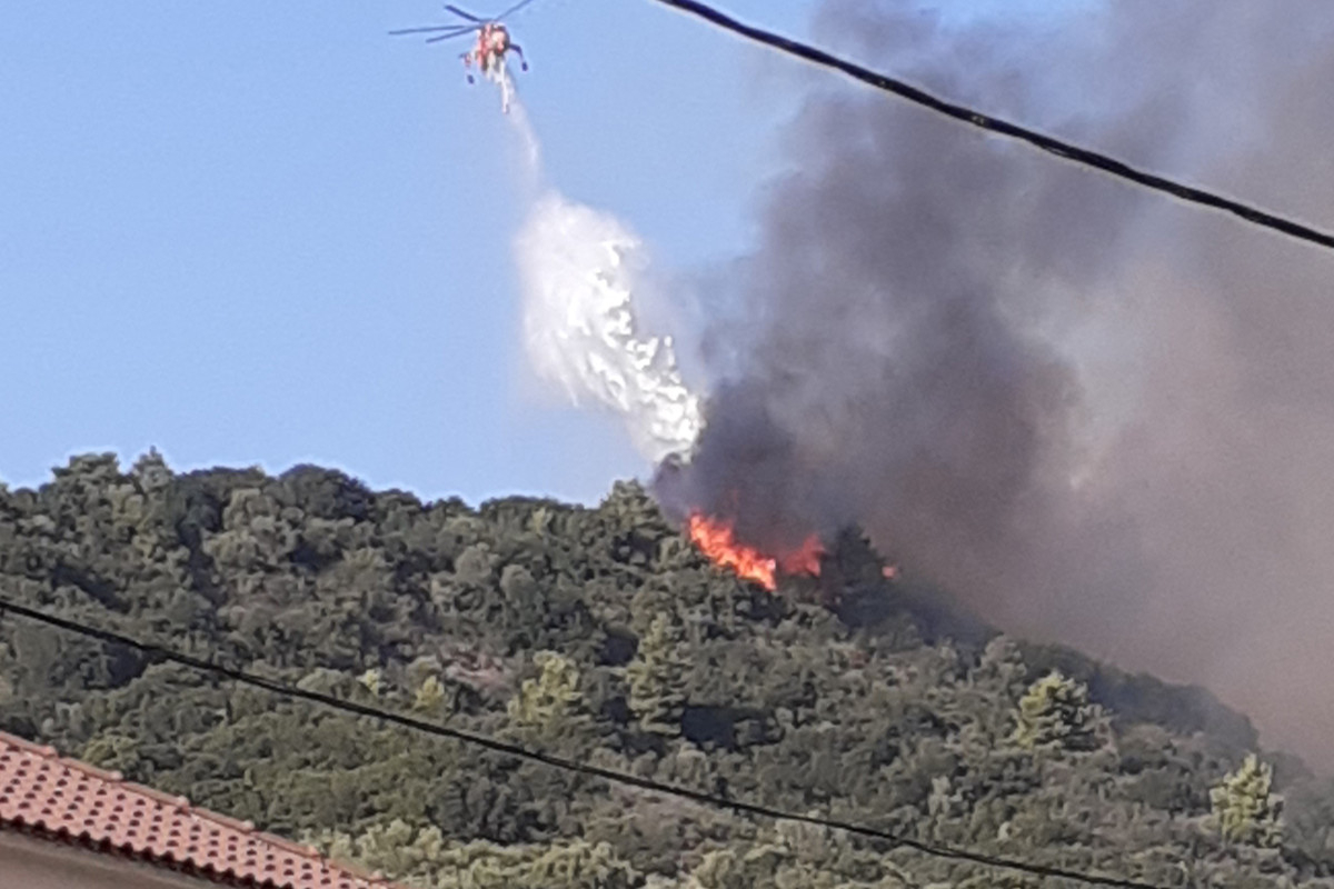 Φωτιά και στην Ηλεία - Καίει σε αγροτική έκταση στην Αμαλιάδα