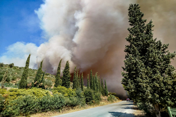 Φωτιά στην Εύβοια: Στην περιοχή μετέβη ο Κικίλιας