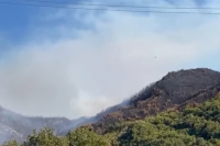 Θεσπρωτία: Ολονύχτια μάχη με τη φωτιά στις Φιλιάτες (Εικόνες, Βίντεο)