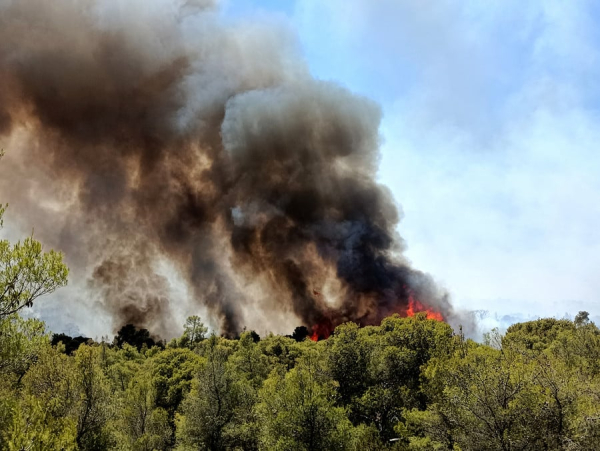 Πυροσβεστική: 42 φωτιές το τελευταίο 24ωρο στην Ελλάδα - Οι 30 αντιμετωπίστηκαν άμεσα