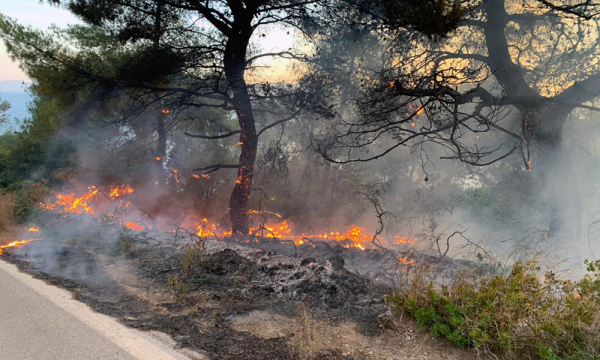 Κόλαση φωτιάς: Κινείται προς το Αλεποχώρι το μέτωπο