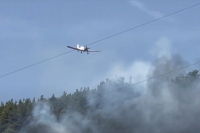 Υπό μερικό έλεγχο η φωτιά στο Μενίδι Αμφιλοχίας - Μεγάλες καταστροφές στο πευκοδάσος της περιοχής