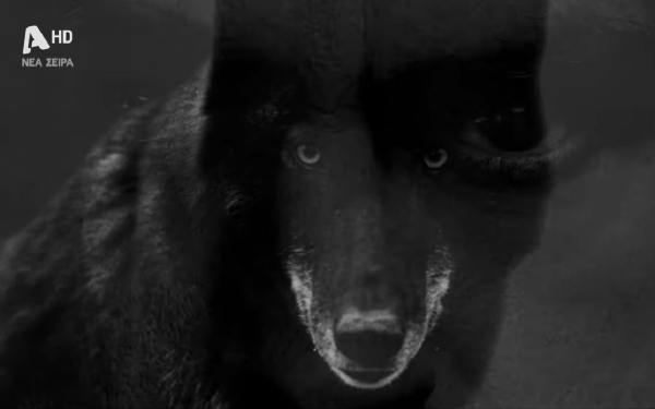 Ο Τιμωρός: Ο Δημήτρης Λάλος έγινε και λύκος... μετά τον αετό - Το τρέιλερ της σειράς