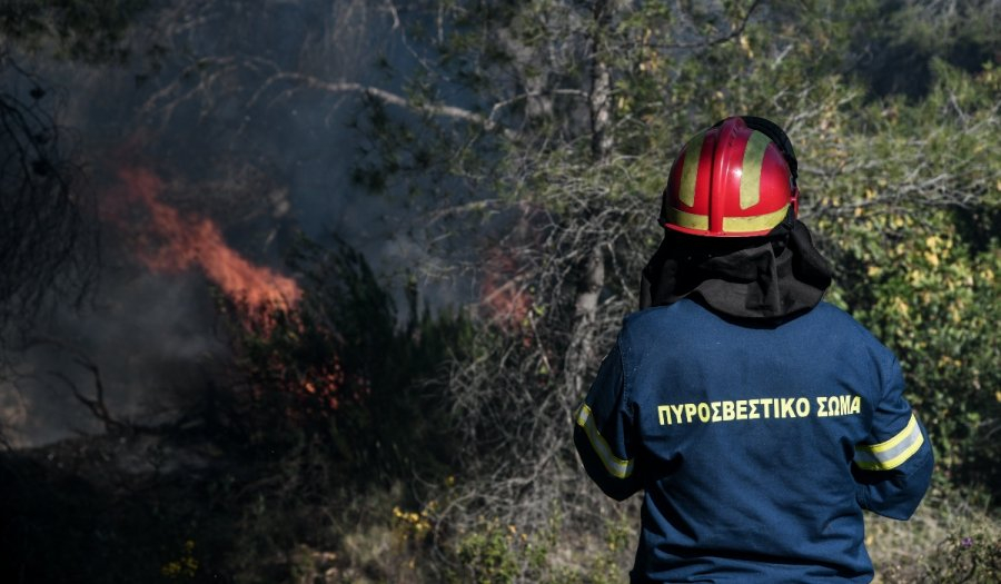 Υπό έλεγχο τα μέτωπα στα Στύρα Ευβοίας, τη Χαλκιδική και τις Σέρρες