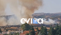 Περιορίστηκε η μεγάλη φωτιά στο Κοντοδεσπότι Εύβοιας - Κάηκαν δέντρα και αποθήκη