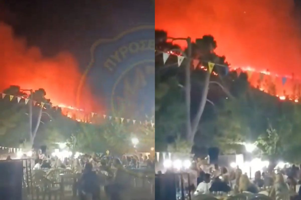 Ζάκυνθος: Οι φλόγες είναι από πάνω τους, αλλά το γλέντι στο πανηγύρι δεν σταματά - Βίντεο