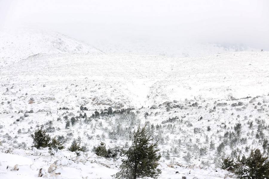 Τραγωδία με νεκρή γυναίκα που εγκλωβίστηκε μέσα στο χιονιά την Πρωτοχρονιά