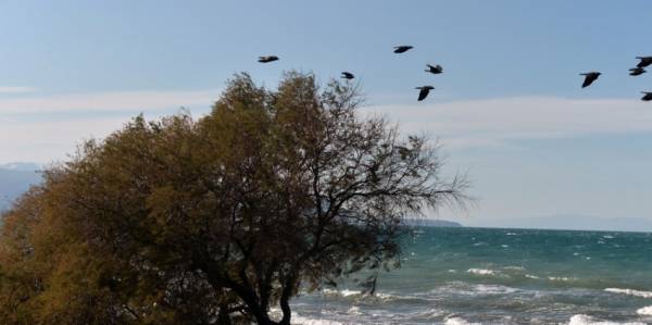 Ρέθυμνο: Η επόμενη μέρα της κακοκαιρίας