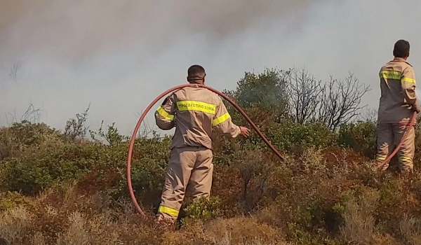 Φωτιά τώρα στο Πήλιο - Σηκώθηκαν 4 εναέρια μέσα