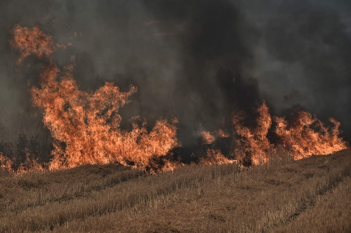 Φωτιά σε δασική περιοχή στο Ηράκλειο Κρήτης