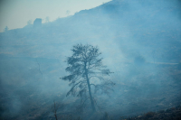 Πού έχει φωτιά τώρα: Τα μέτωπα στην Ελλάδα σήμερα - Τι ισχύει για Αττική