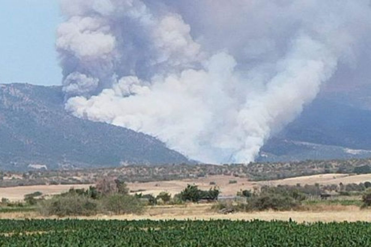 Φωτιά στη Ροδόπη: Καίει σε δύσβατη περιοχή, φυσούν δυνατοί άνεμοι