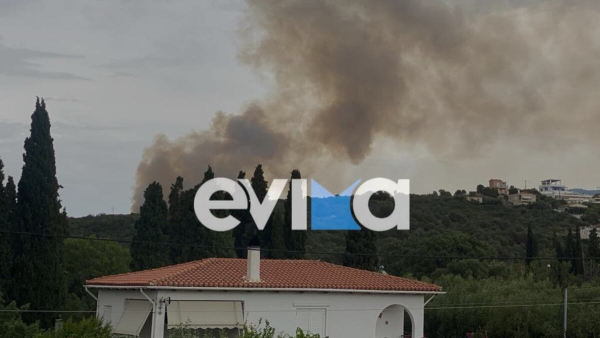 Φωτιά στην Εύβοια: Διάσπαρτες εστίες, δεν υπάρχει πια μεγάλο μέτωπο
