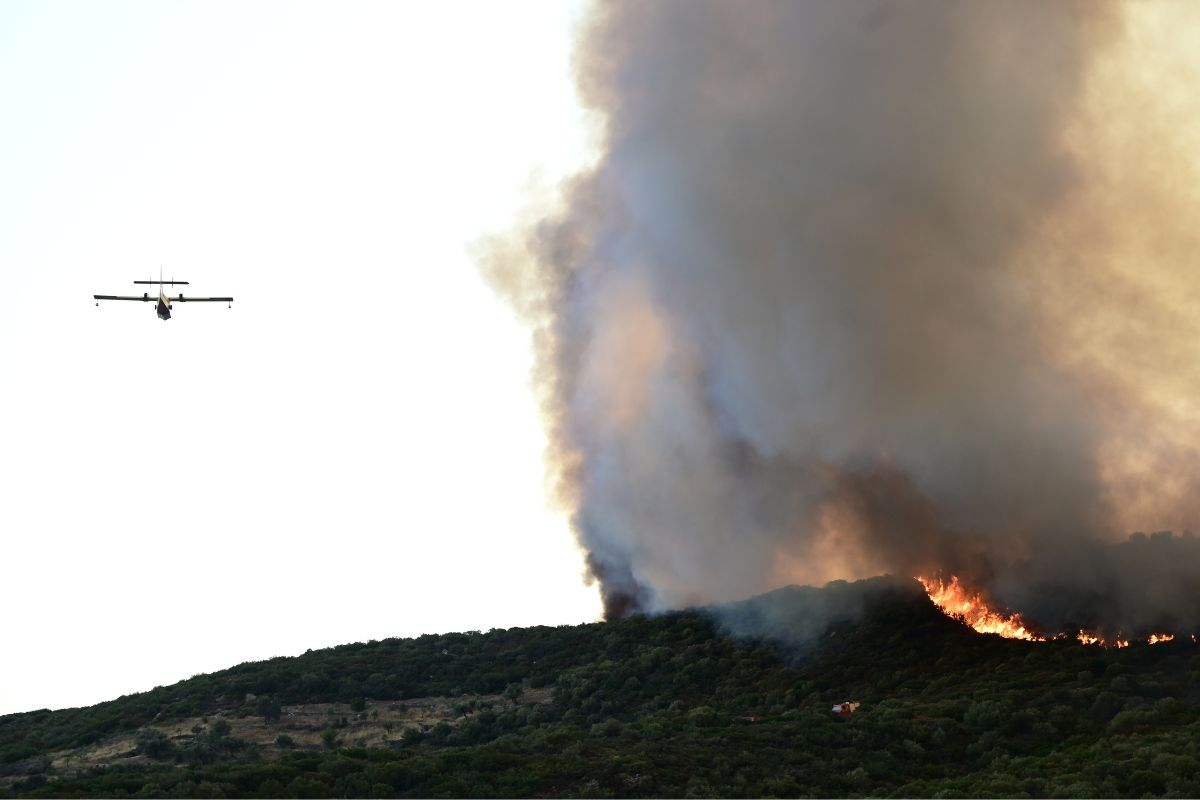 Χωρίς ενεργό μέτωπο η φωτιά στην Εύβοια: Κίνδυνος για αναζωπυρώσεις