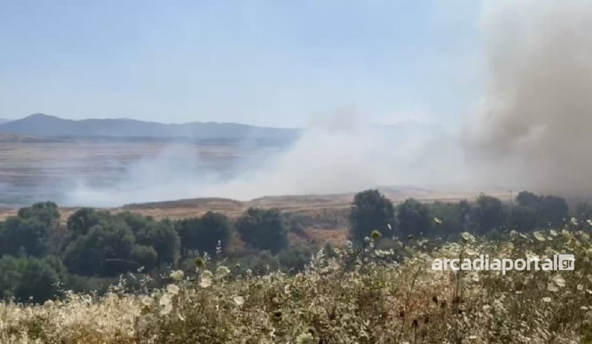 Μεγάλη φωτιά στη Μεγαλόπολη κοντά στα ορυχεία της ΔΕΗ - Κοντά σε σπίτια, εκκενώνονται χωριά