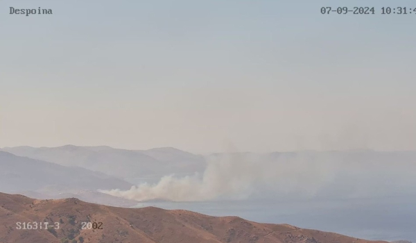 Φωτιά τώρα στη Χίο – Σηκώθηκαν 4 εναέρια μέσα