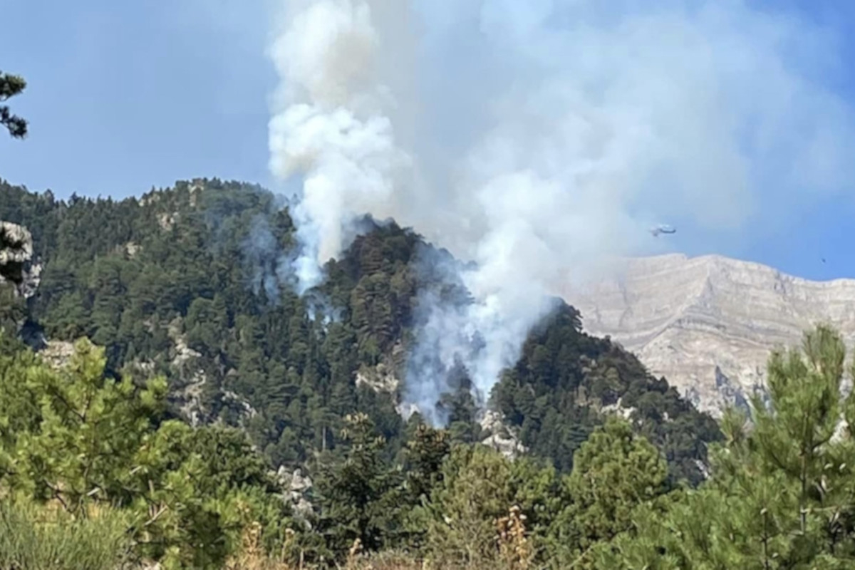 Μαίνεται η φωτιά στα Καλύβια Σοχάς Λακωνίας - Μάχη να μην ξεφύγει το μέτωπο (Βίντεο)