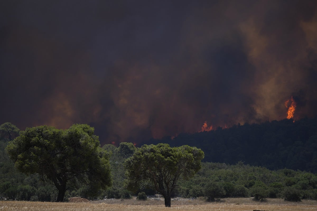 Πυροσβεστική: Ξημερώνει δύσκολη μέρα - Μάχη με τις φλόγες σε Αττική, Λουτράκι και Ρόδο