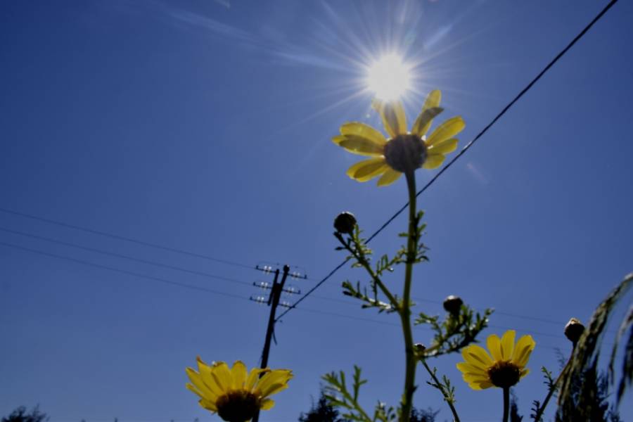 Ο καιρός αύριο Δευτέρα 15/6/2020