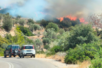 Λάθος συναγερμός για τη «φωτιά» στο Πρόδρομο Βοιωτίας