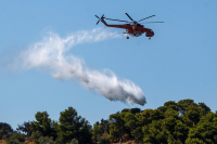 Υπό έλεγχο η φωτιά στο Μαρκόπουλο - Παραμένουν στο σημείο δυνάμεις της Πυροσβεστικής