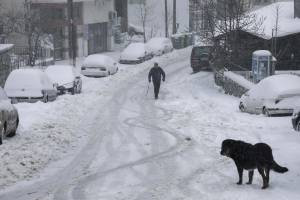 Κλειστά τα σχολεία σήμερα 19/11 σε Γρεβενά, Κοζάνη και Φλώρινα