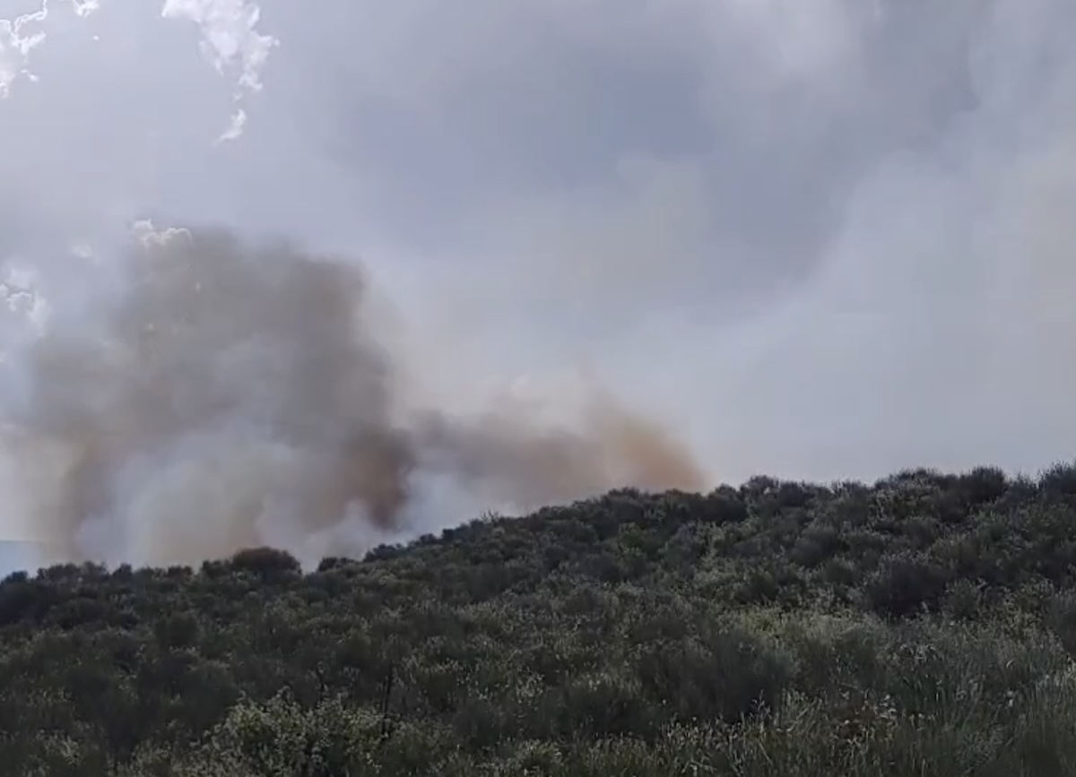 Μεγάλη η φωτιά στην Καλαμπάκα: «Δίνουμε μάχη για να σωθεί το Ορθοβούνι», λέει ο δήμαρχος (βίντεο)