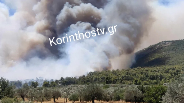Μεγάλη φωτιά στο Σοφικό Κορινθίας: Καίει πευκόδασος - Κινδύνευσαν πυροσβέστες