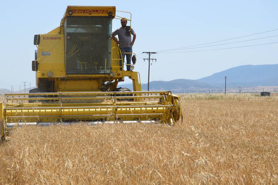 Δωρεάν χωράφια σε αγρότες, ανέργους και νέους